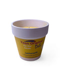 Lemonade Deli Candle